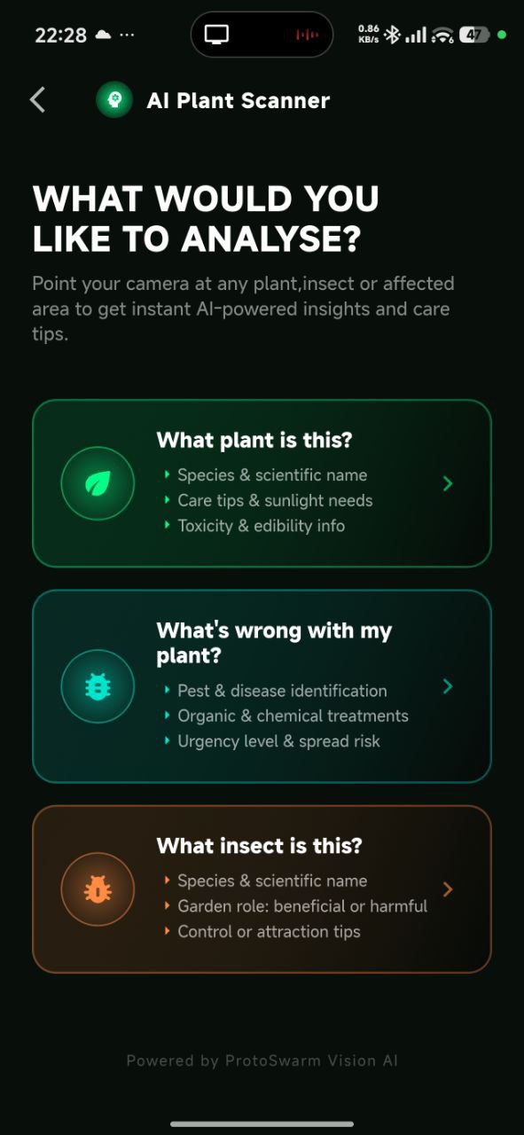 App interface preview